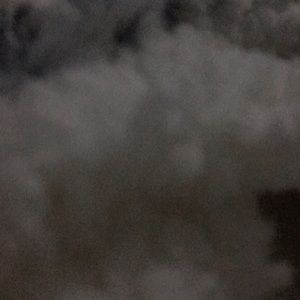 Meet your Posher, Scarlett